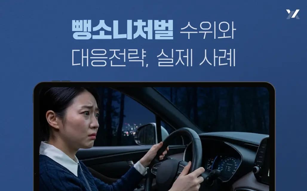 뺑소니처벌 수위와 대응전략, 실제 사례